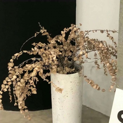 沅江FurryQQ群介绍